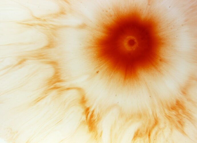 featured image 012